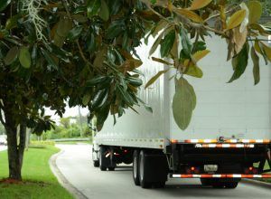 Vehicle restriction enforcement system
