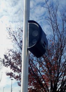 D-Armor-Fall-Leaves-close-med-214x300